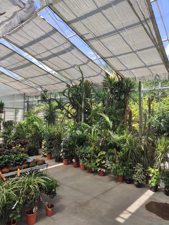 Fotografie de Garden Shop
