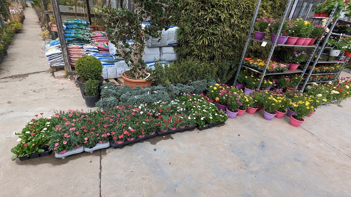 Fotografie de Garden Shop