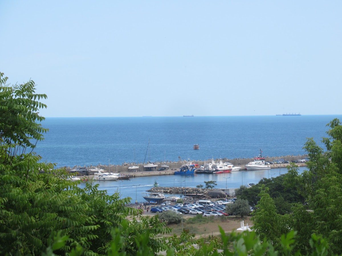 Fotografie de Viewpoint Zorile