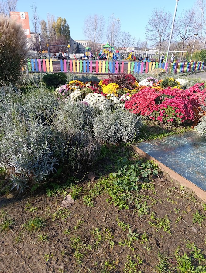 Fotografie de Parcul Viitorului