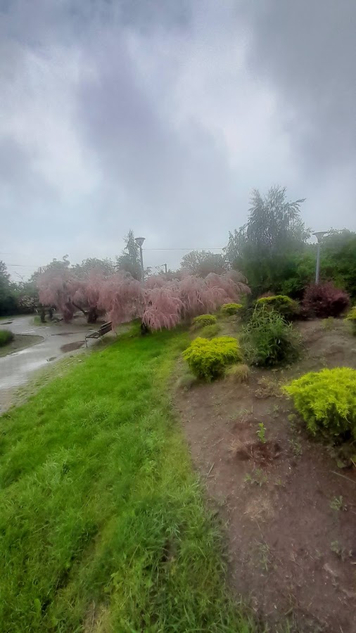 Fotografie de Parcul Viitorului