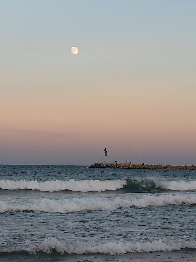 Foto di Dig Belvedere Eforie Nord