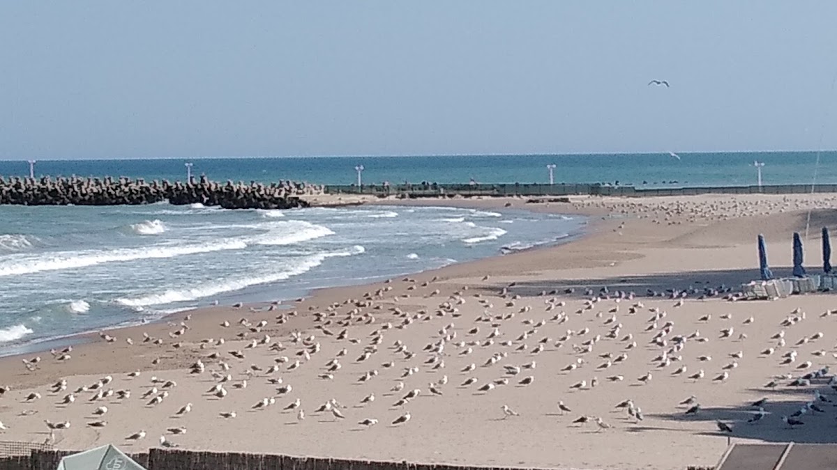 Foto di Mystic Beach City