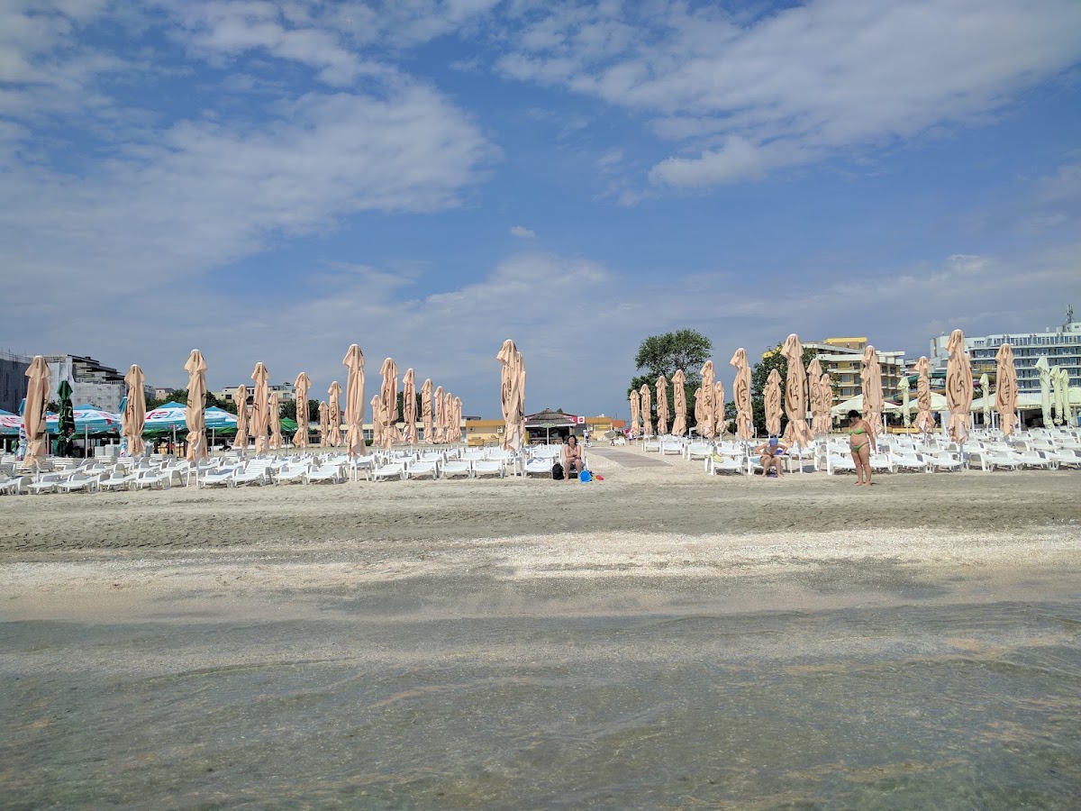 Photo of Vega Vintage Beach
