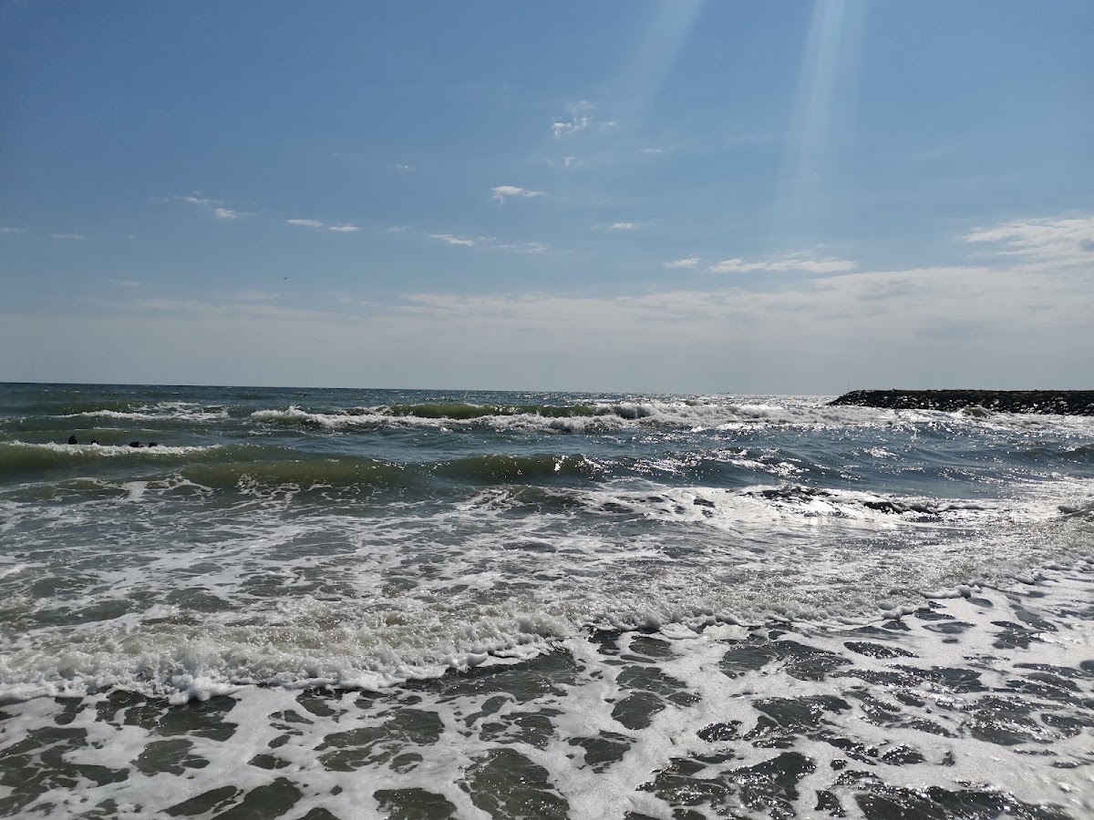 Photo of Aloha Beach
