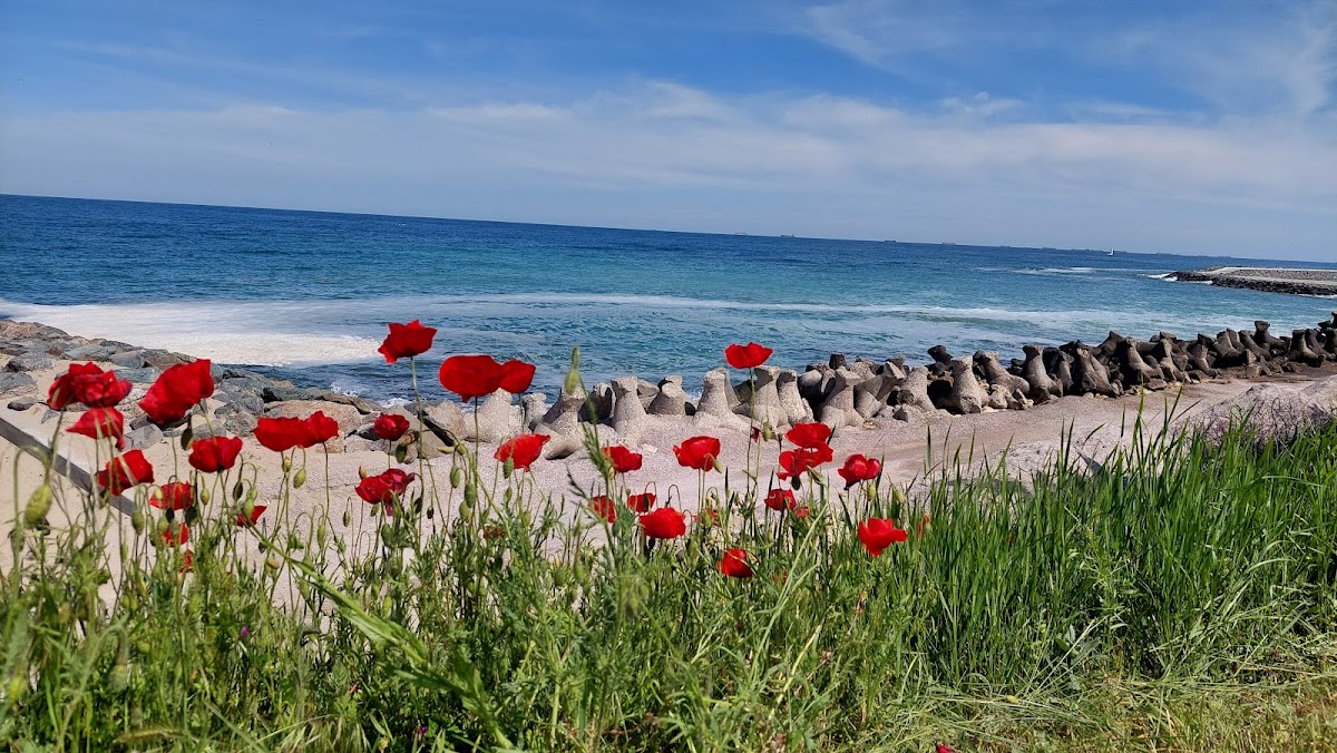 Fotografie de Plaja "Trei Papuci"