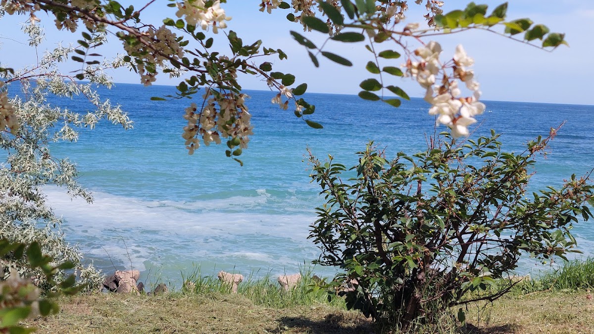 Fotografie de Plaja "Trei Papuci"