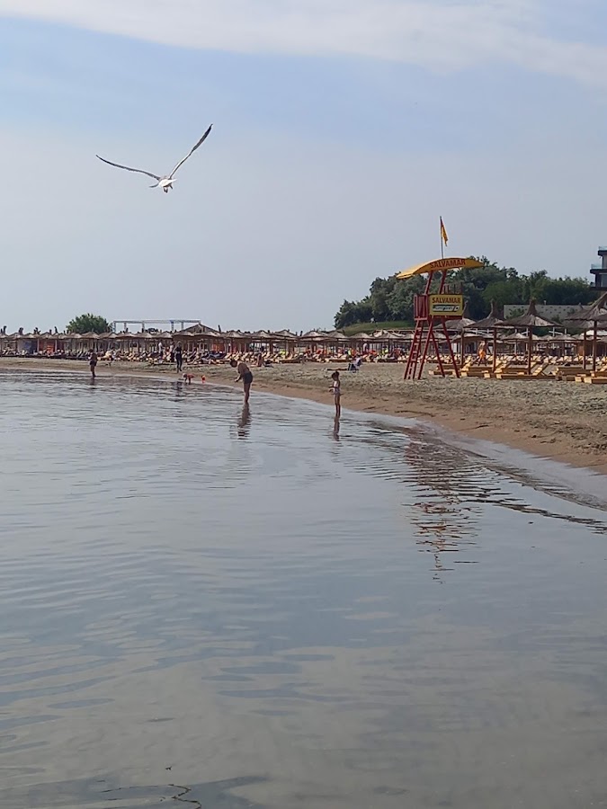Foto von Next Beach