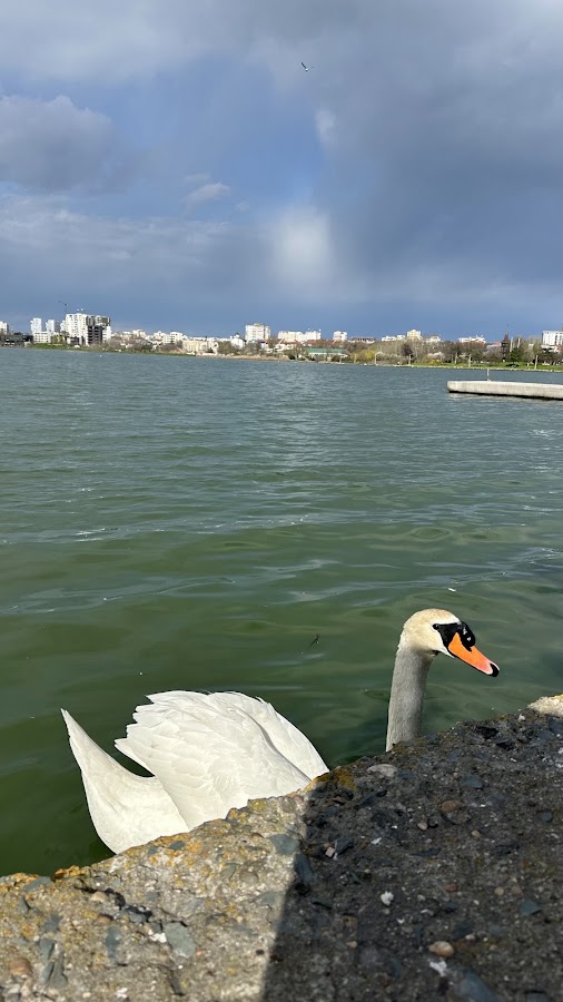 Foto von Lacul Tăbăcărie