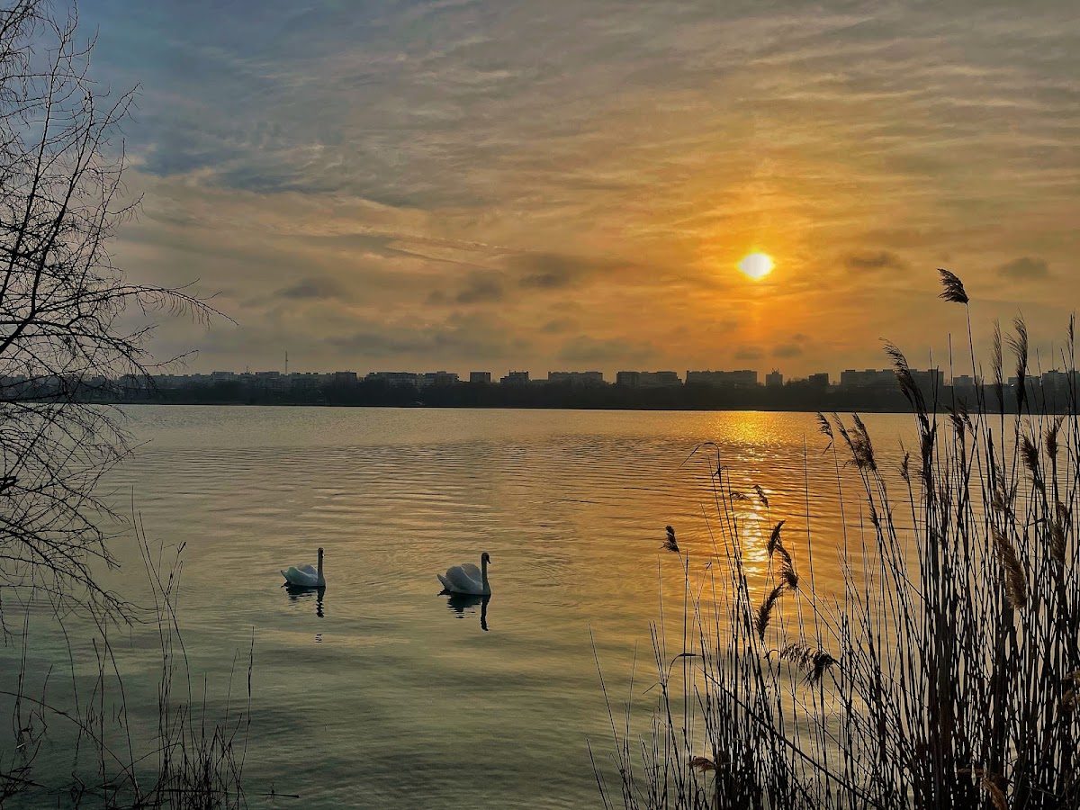 Foto von Lacul Tăbăcărie