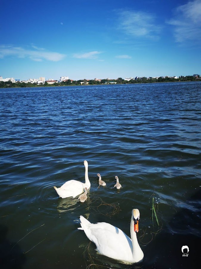 Foto di Limanul Siutghiol