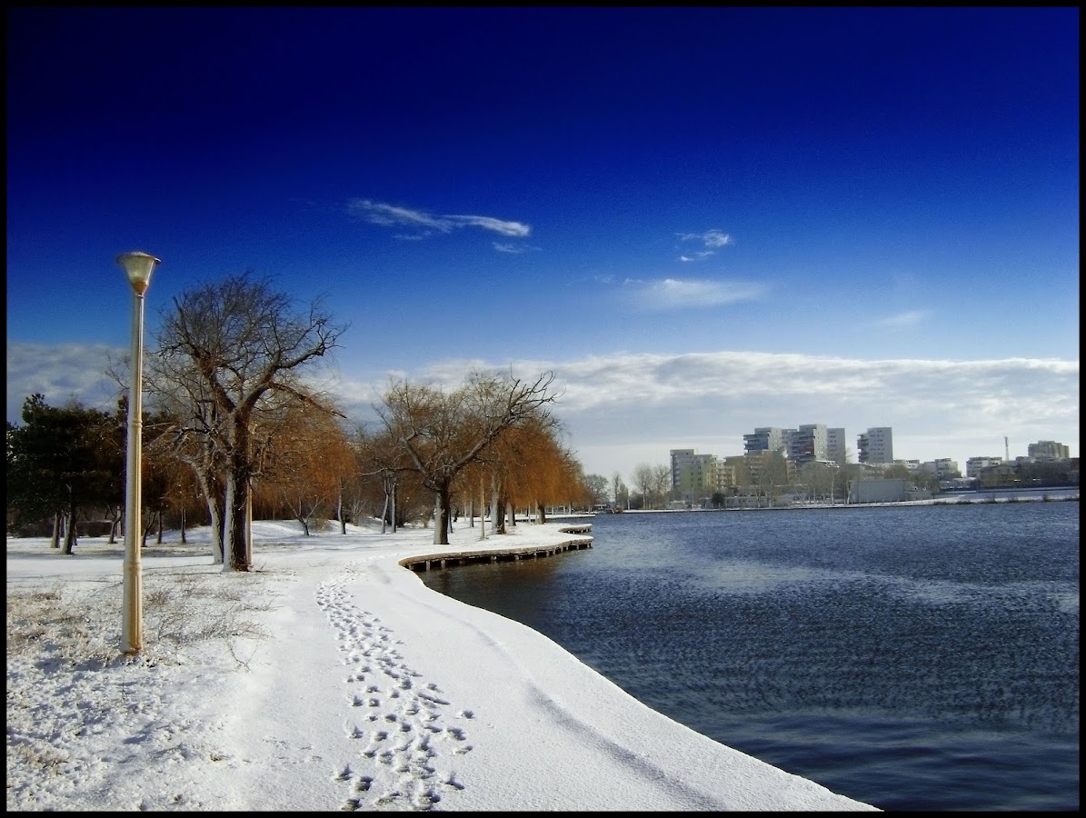 Photo of Lacul Tăbăcăriei