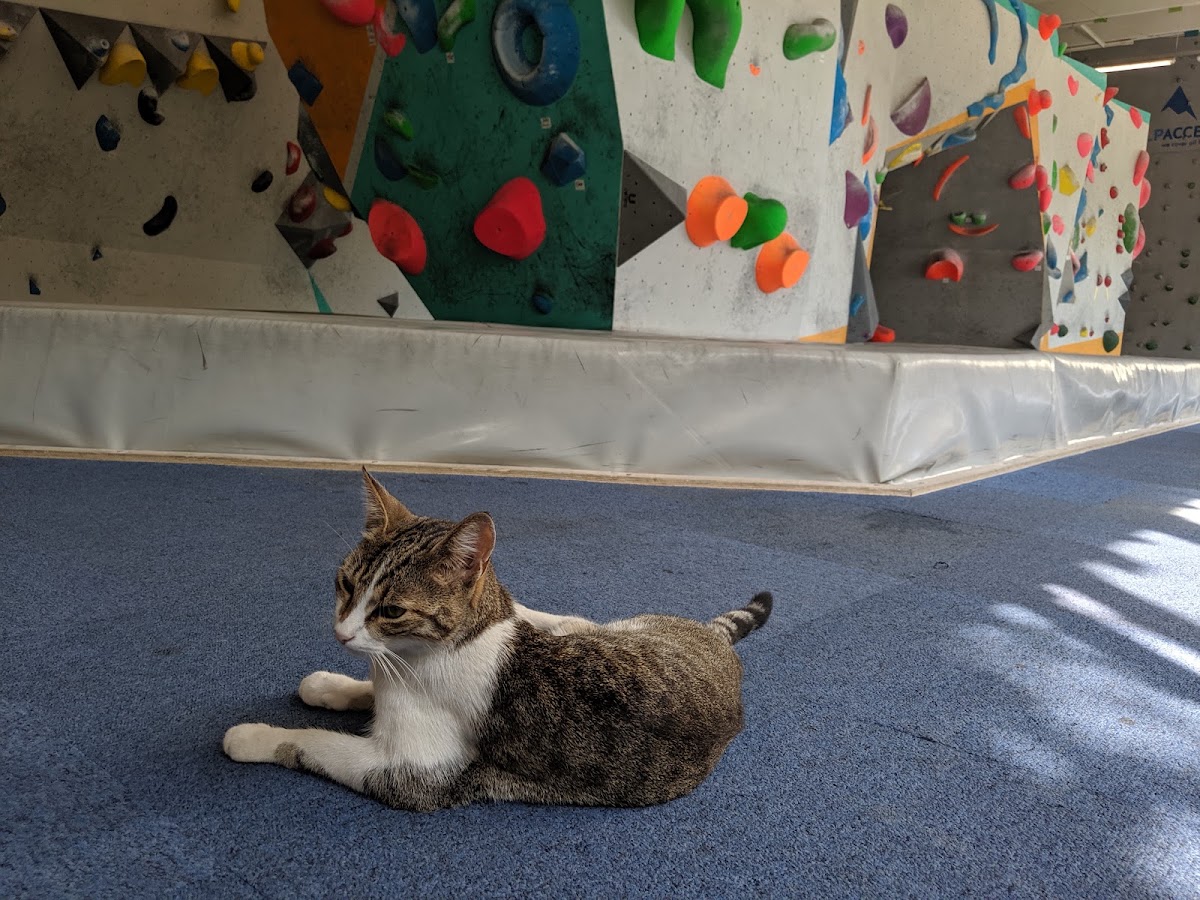 Photo de BLOKX Climbing Gym