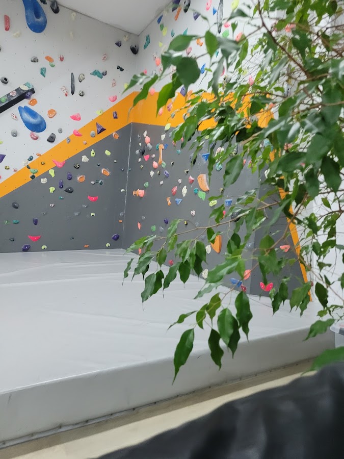 Foto von Qbik Climbing Center