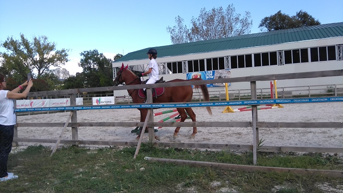 Foto di Arena Eqcvestria