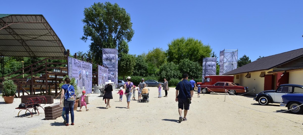 Foto di Arena Eqcvestria