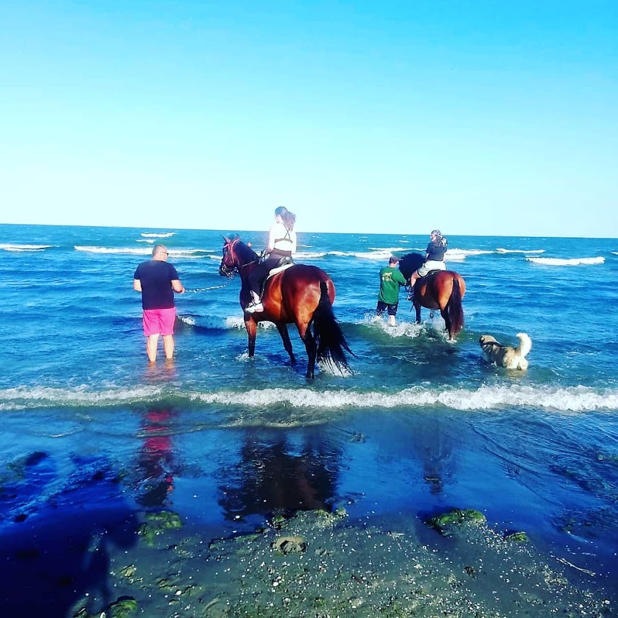 Fotografie de Horseland Năvodari