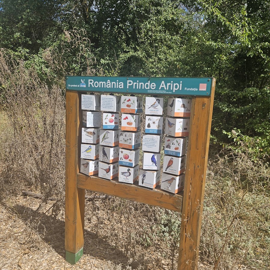 Photo de Dunele Marine de la Agigea