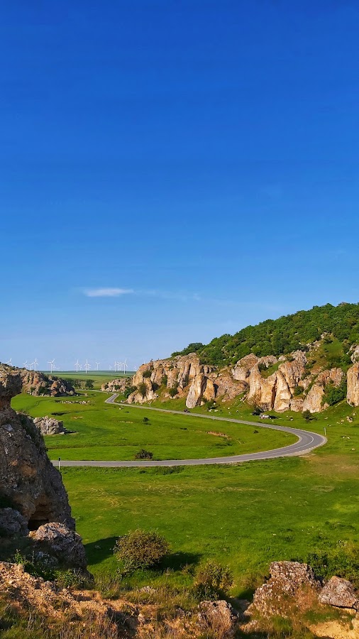 Photo of Rezervația Naturală "Gura Dobrogei"