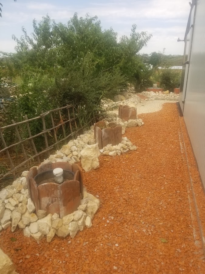Foto von Dumbrava Urbana