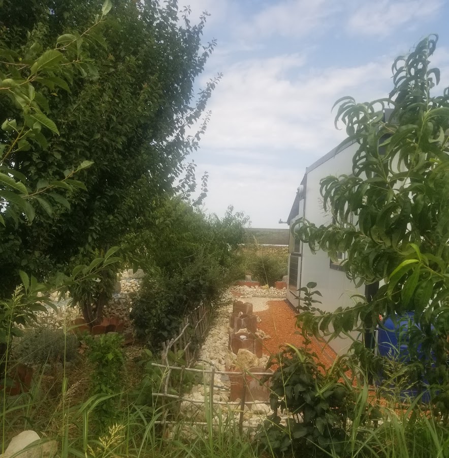 Foto von Dumbrava Urbana