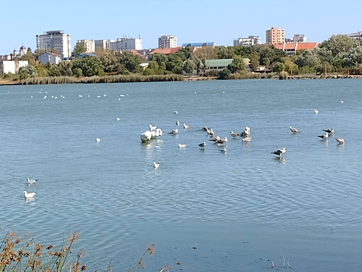 Photo of Lac Tabacariei - Promenada