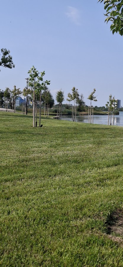 Fotografie de Lac Tabacariei - Promenada