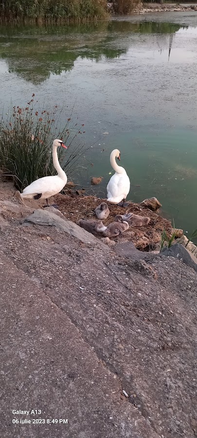 Fotografie de Lac Tabacariei - Promenada
