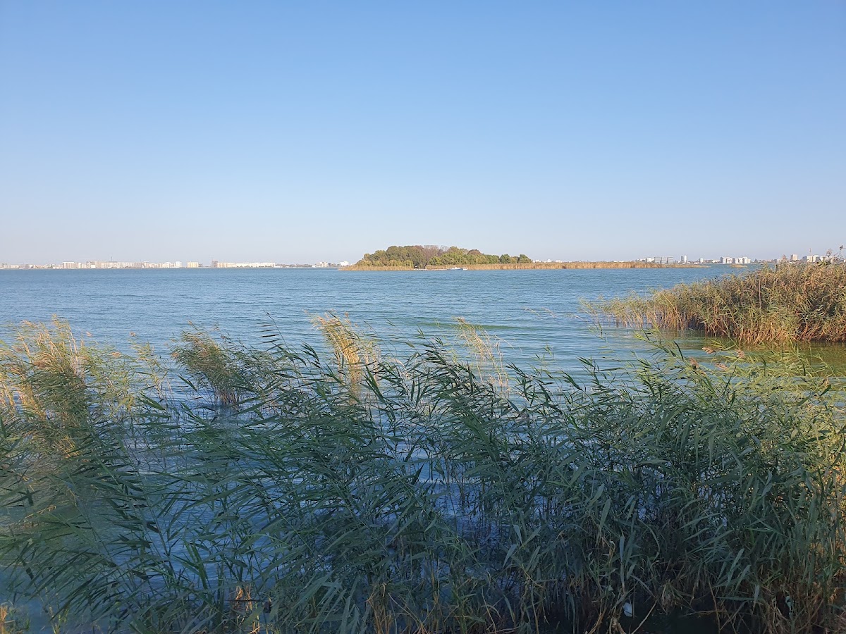 Foto di Parc Faleza Ovidiu