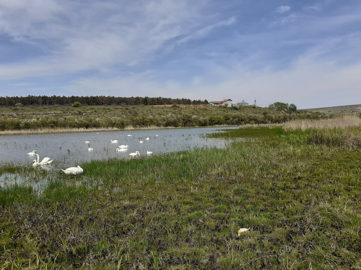 Photo of Pădurea Hagieni