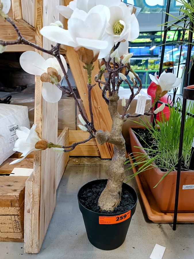 Photo of HORNBACH Constanța