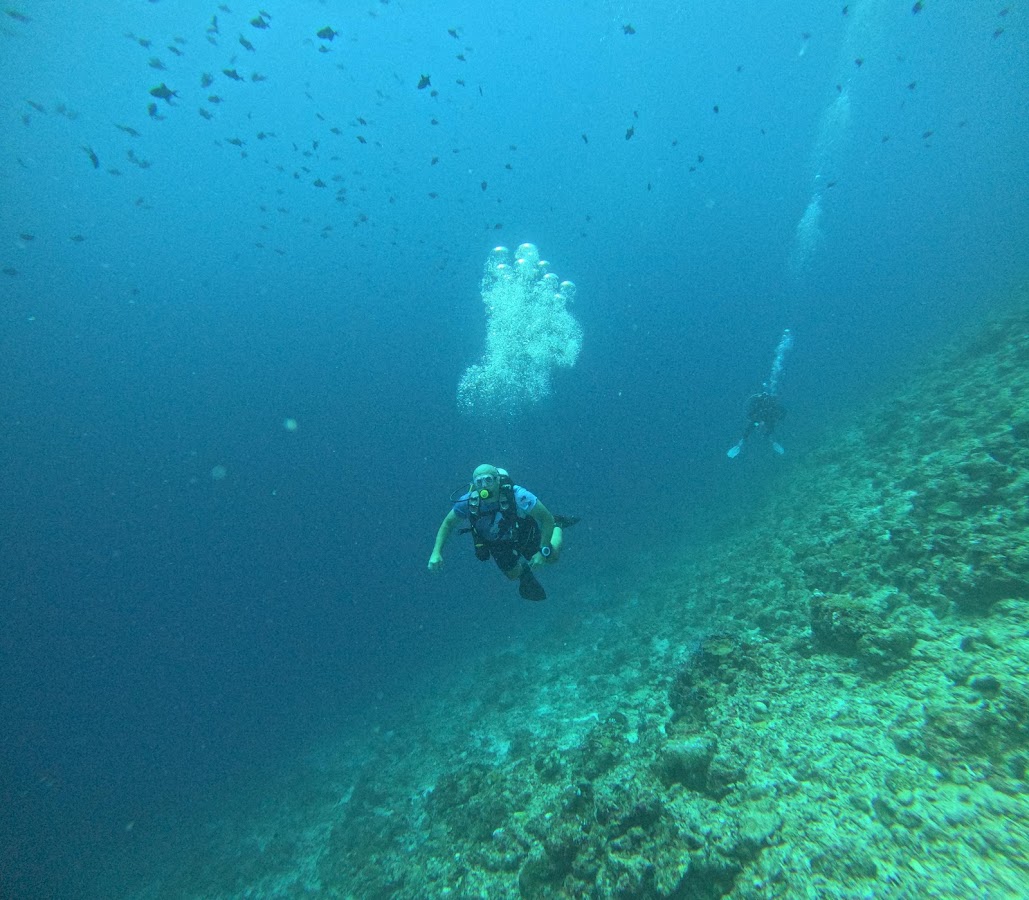 Foto von Agentia AquaMar Travel