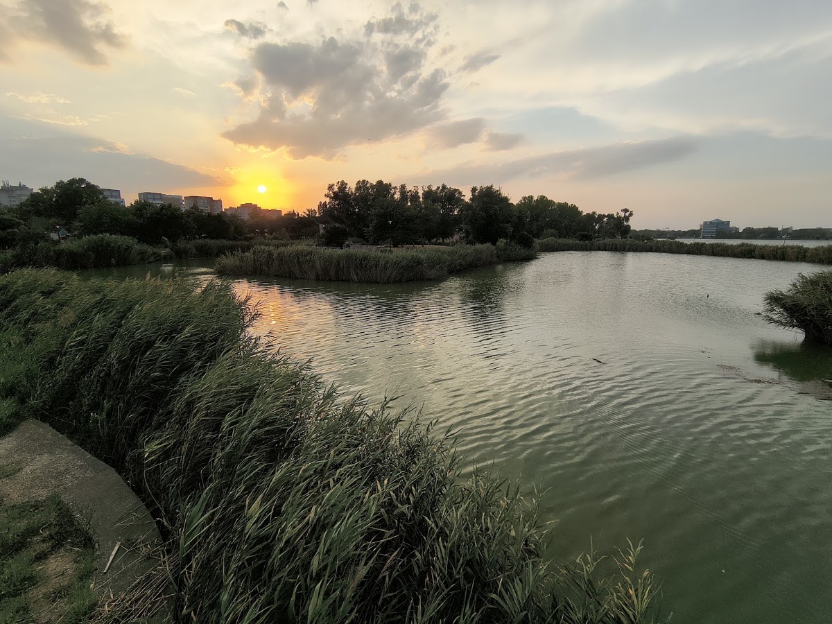 Photo of Bird Watching and Photography Private Tour near Constanta