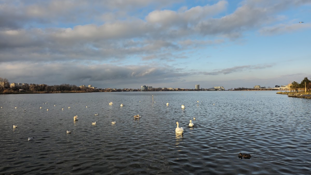Photo of Bird Watching and Photography Private Tour near Constanta