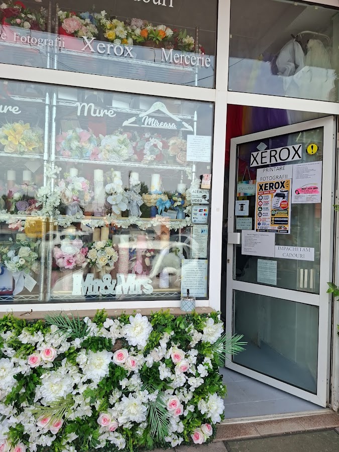 Photo du Magasin de cadeaux et Fleuriste Sevirox Décor