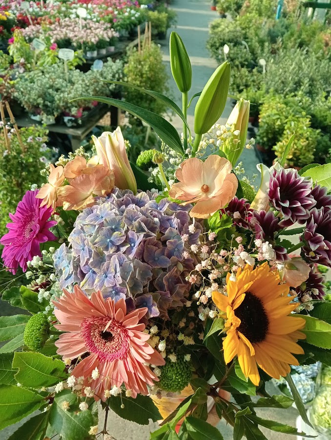 Photo of Diamond Flowers