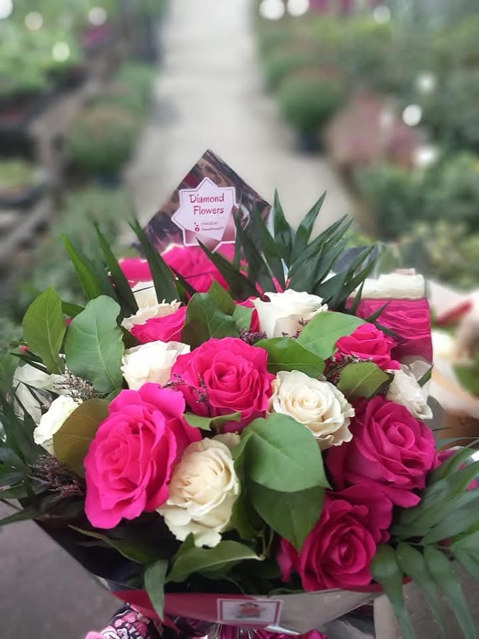 Fotografie de Diamond Flowers