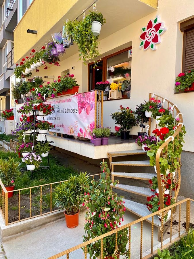 Photo of Florarie Constanta