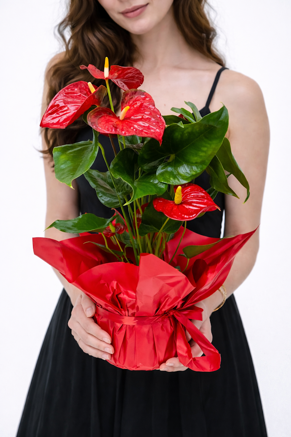 Fotografie de Royal Flowers by Ursu Veronica