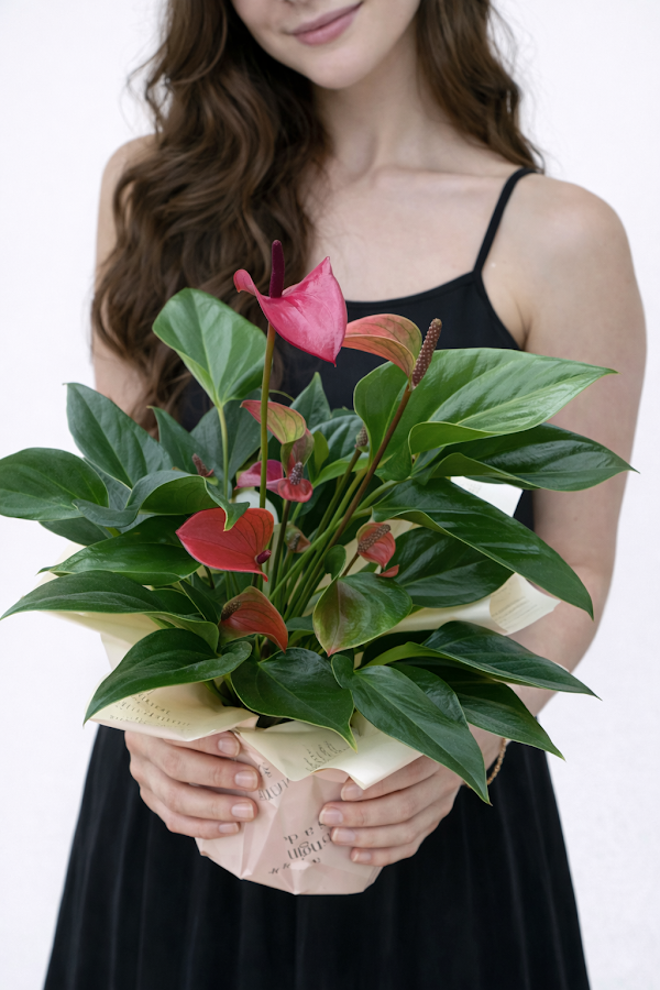 Fotografie de Royal Flowers by Ursu Veronica