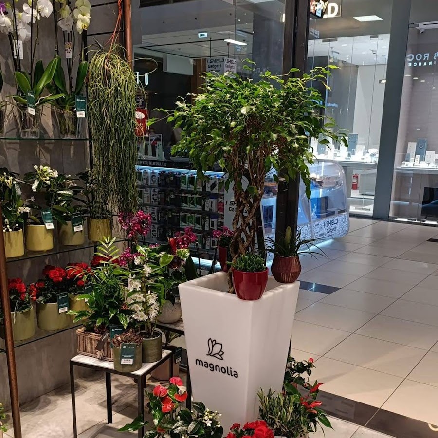 Fotografie de Florăria Magnolia Constanța (City Park Mall)