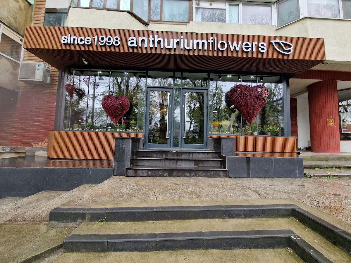 Photo of FLORĂRIA ANTHURIUM