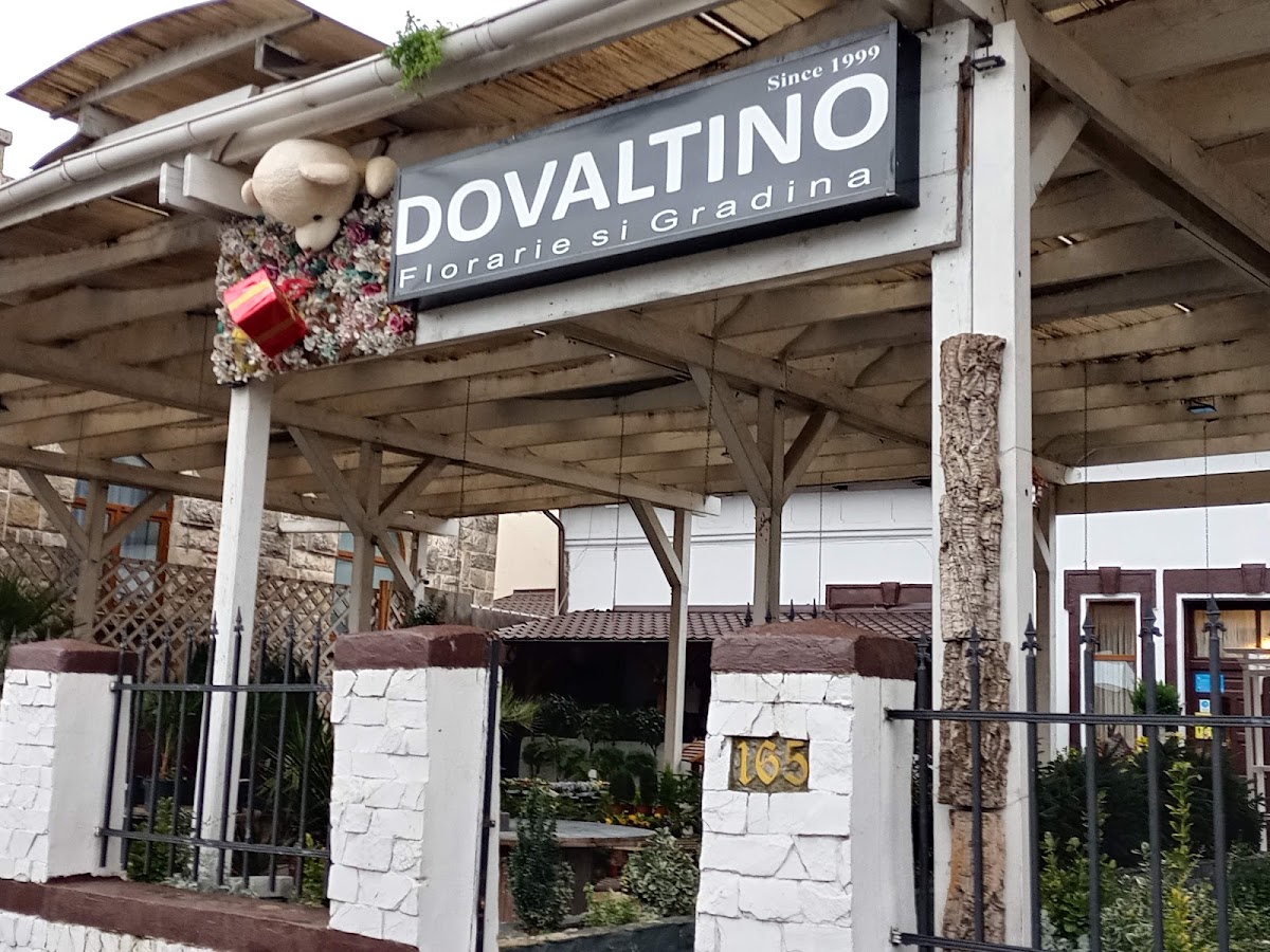 Photo of Dovaltino