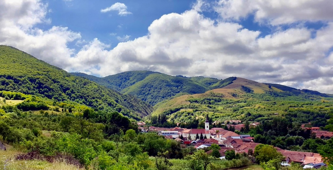 Photo of Taverna Morarului