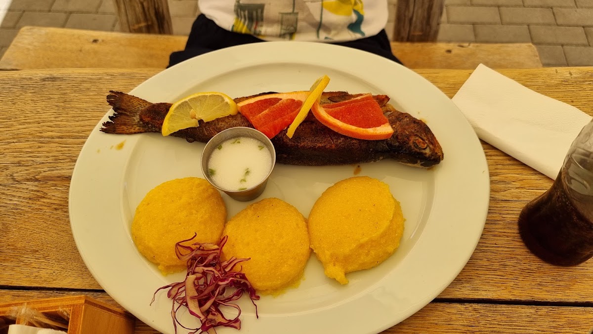 Foto di RESTAURANT TRADIȚIONAL BIGĂR