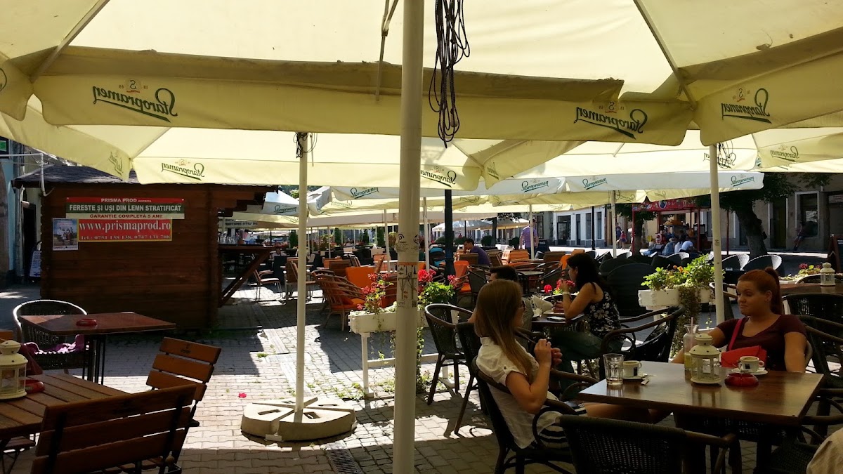 Photo of Red Point Viena