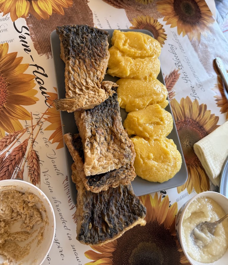 Foto di Casa Pescarului Caraorman