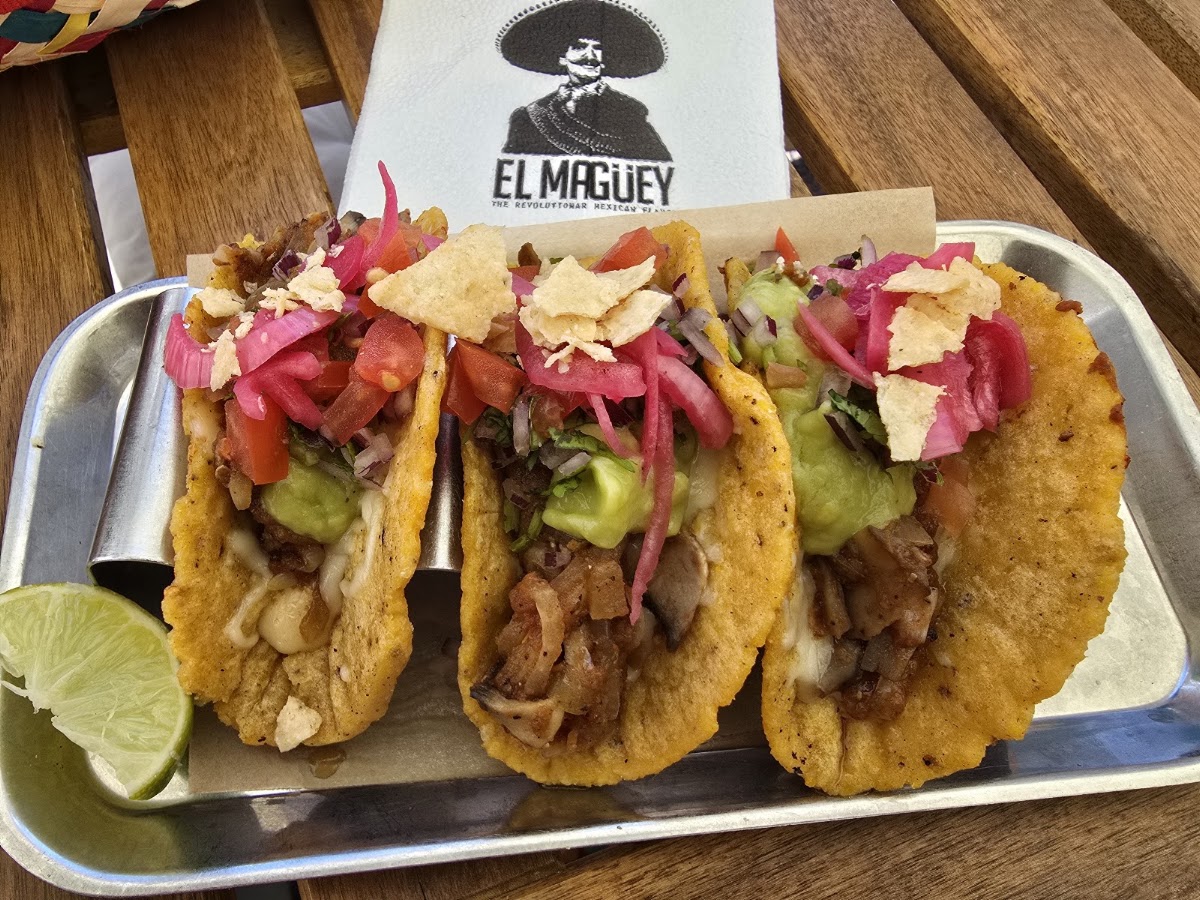 Foto von EL Magüey