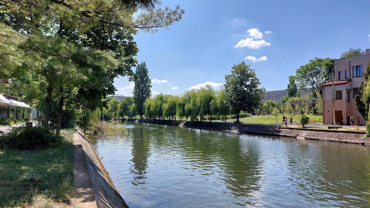 Foto di Grădina Bănaţeană