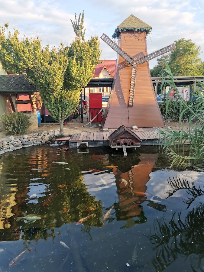 Fotografie de DAF Junior